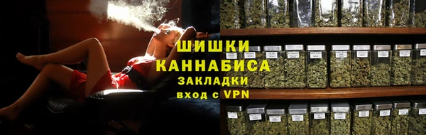 шишки Богданович