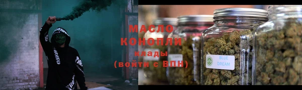 спиды Богородицк