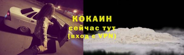 шишки Богданович