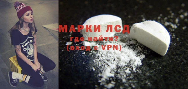 спиды Богородицк