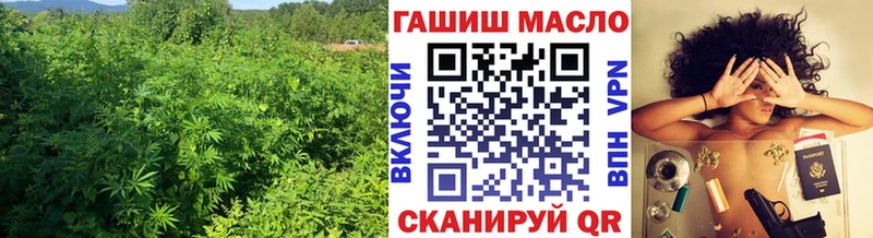 ТГК концентрат  закладки  Бикин 