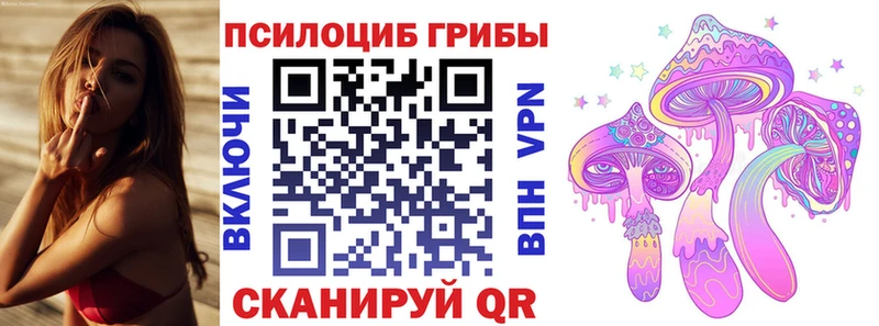 Галлюциногенные грибы Psilocybe Бикин